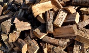 different types of wood logs